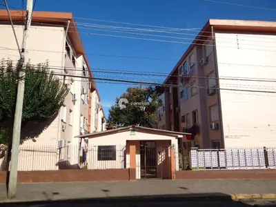 Apartamento à venda no Nossa Senhora de Lourdes: 
