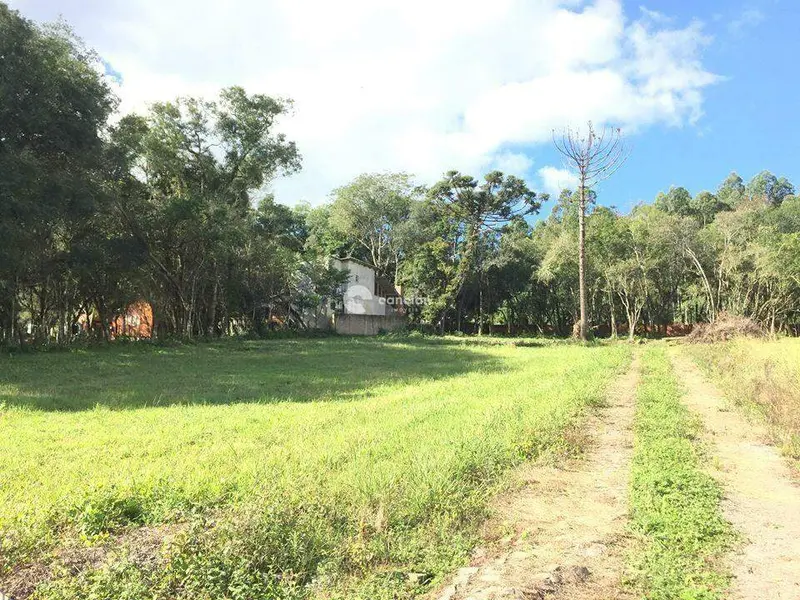 Terreno à venda no Parque Pinhal: 