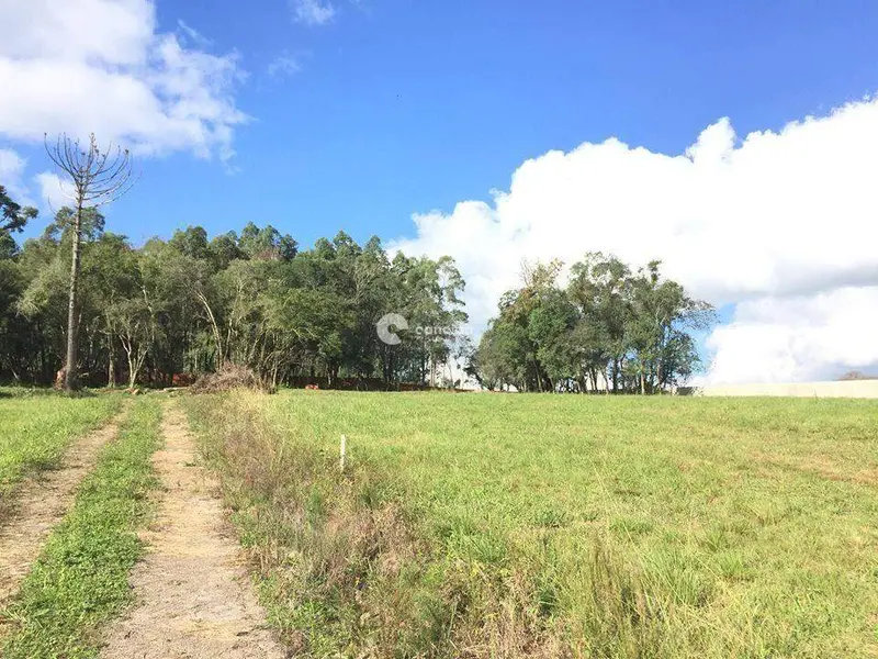 Terreno à venda no Parque Pinhal: 