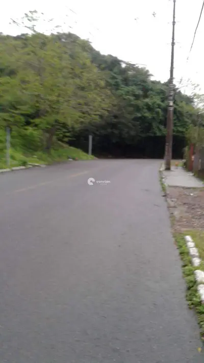 Terreno à venda no Campestre do Menino Deus: 