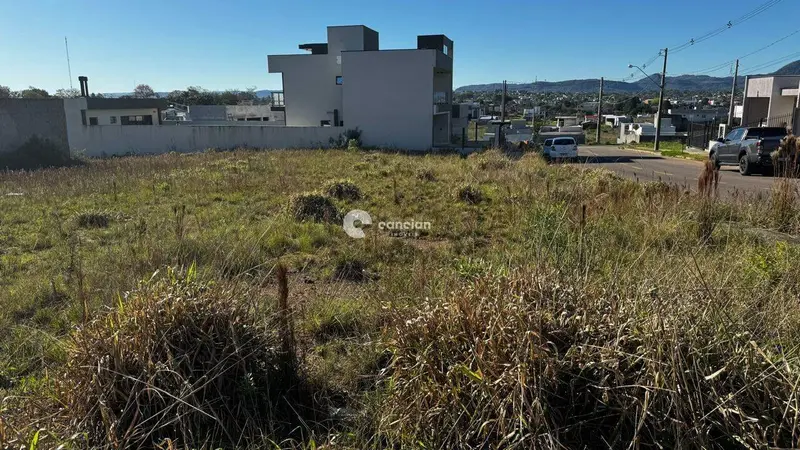 Terreno à venda no Pinheiro Machado: