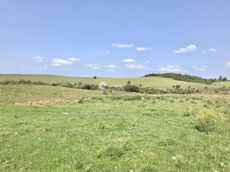 Terreno à venda no Nenhum: 