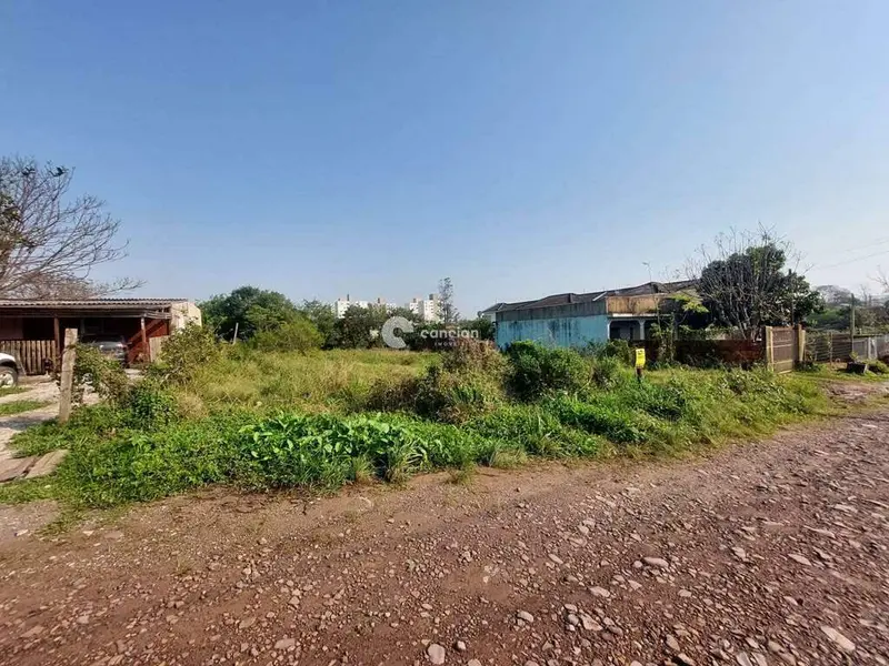 Terreno à venda no Pinheiro Machado: 