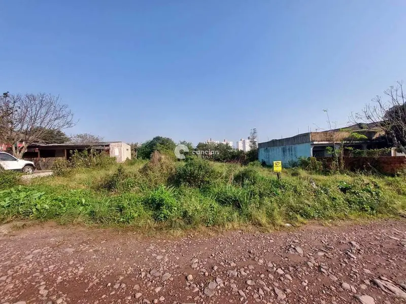 Terreno à venda no Pinheiro Machado: 