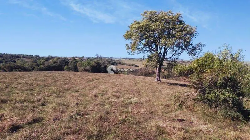 Chácara à venda no Passo das Tropas: