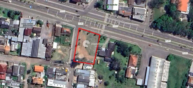 Terreno Comercial para aluguel no Camobi: