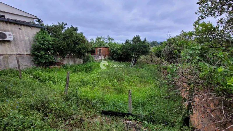 Terreno à venda no Lorenzi: 