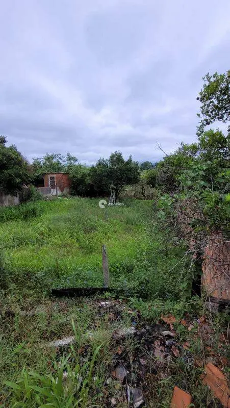 Terreno à venda no Lorenzi: 