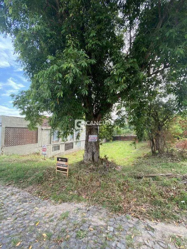 Terreno à venda no Menino Jesus: 