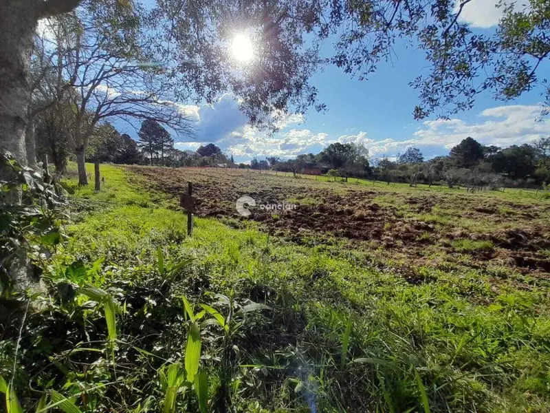 Terreno à venda no Parque Pinhal: 