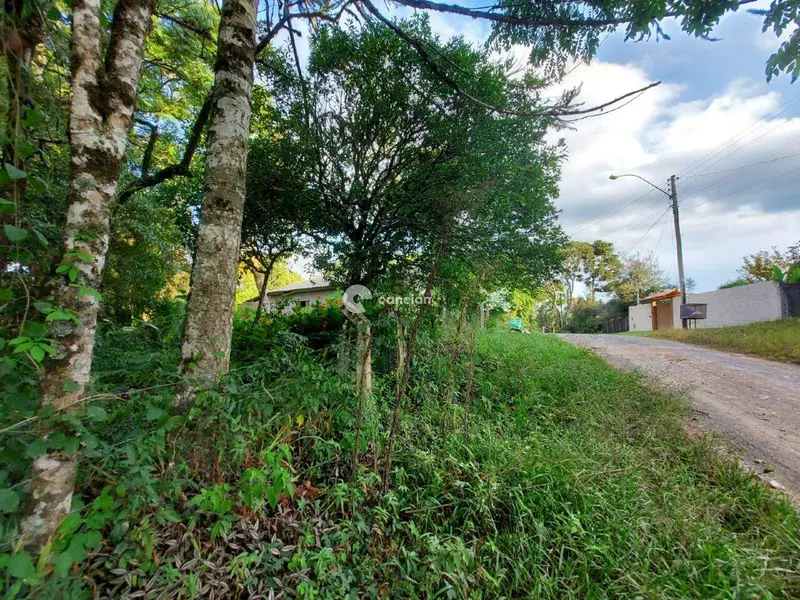 Terreno à venda no Novo Pinhal: 