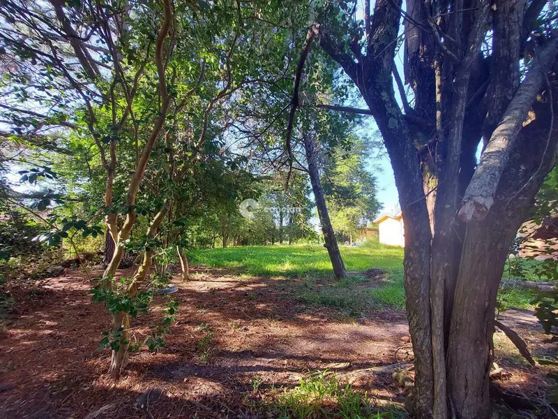 Terreno à venda no Camobi: 