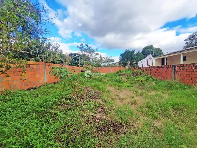 Terreno à venda no Boi Morto: 