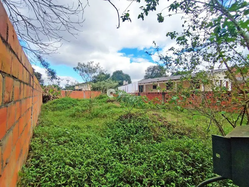 Terreno à venda no Boi Morto: 
