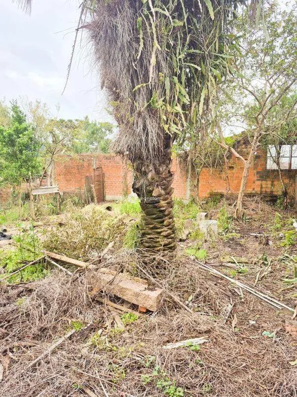 Terreno à venda no Nossa Senhora do Rosário: 