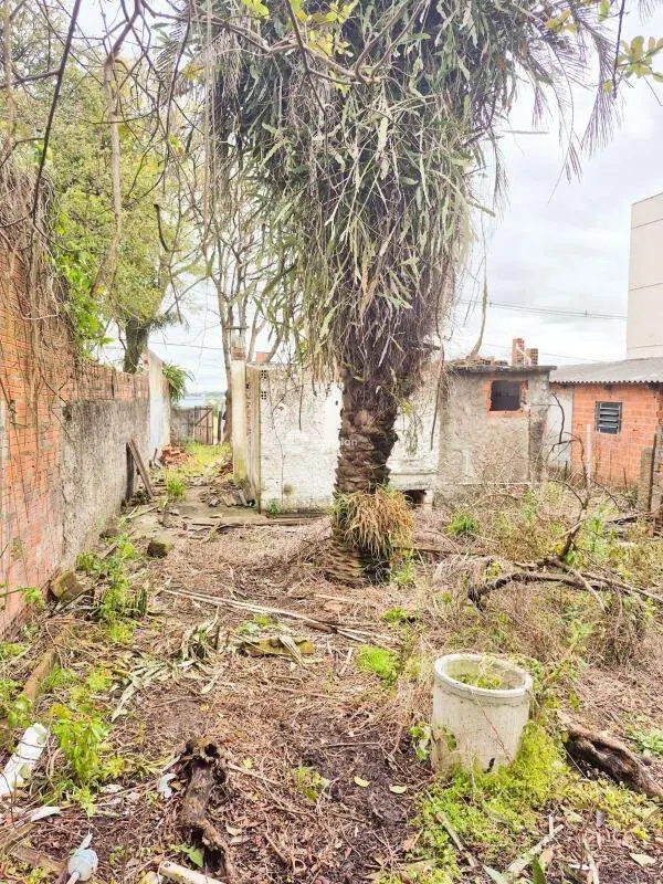 Terreno à venda no Nossa Senhora do Rosário: 
