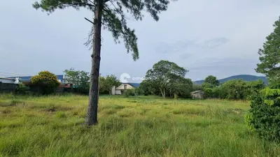 Terreno à venda no Pé de Plátano: 