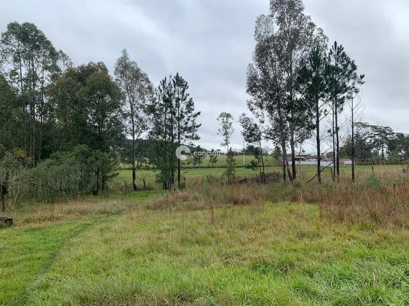 Terreno à venda no Tomazetti: 