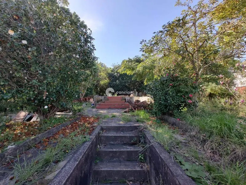 Terreno à venda no Nossa Senhora do Perpétuo Socorro: