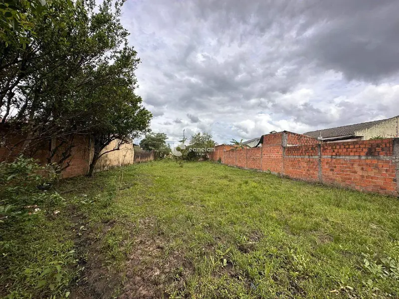 Terreno à venda no Pinheiro Machado: 
