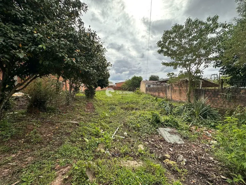 Terreno à venda no Pinheiro Machado: 