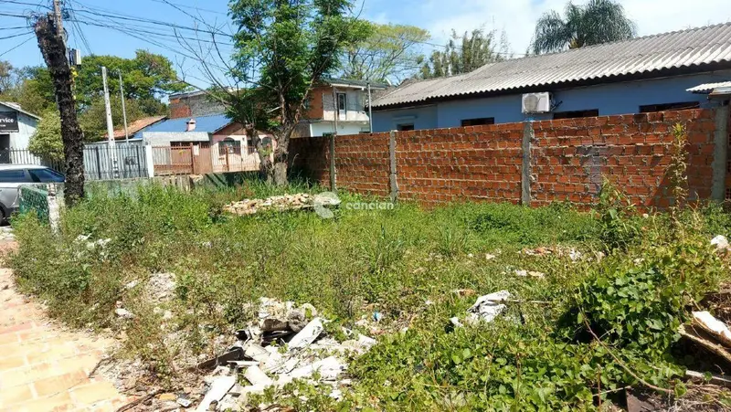 Terreno à venda no Carolina: