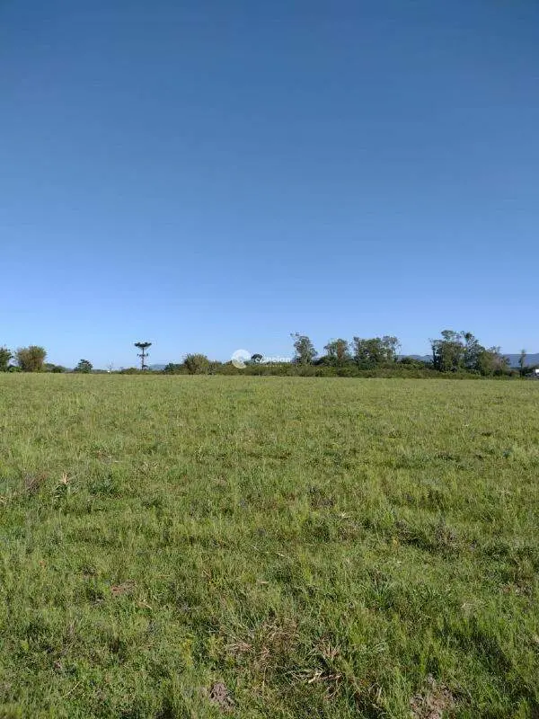Área Rural à venda no Pains: 