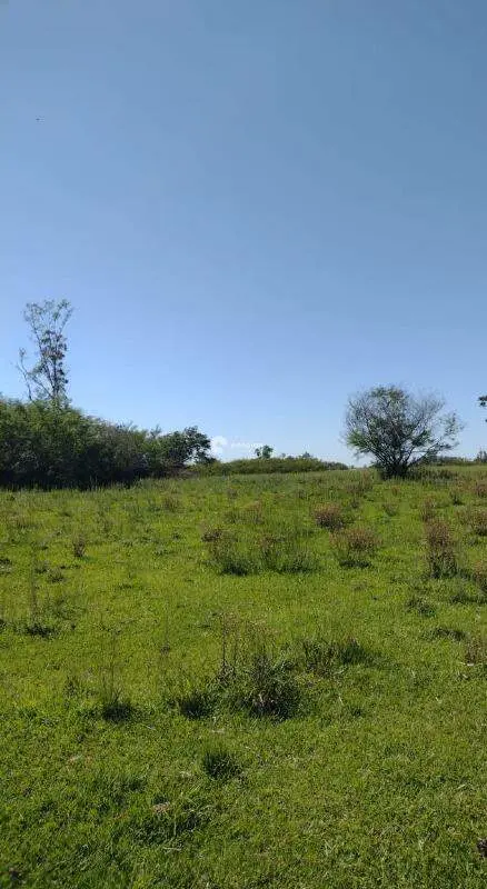 Área Rural à venda no Pains: 