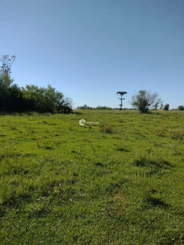 Área Rural à venda no Pains: 