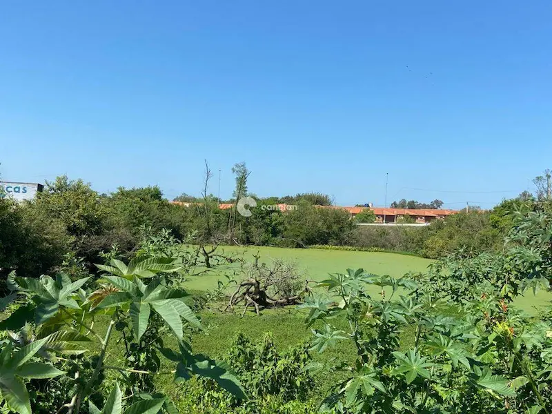 Terreno à venda no Patronato: 
