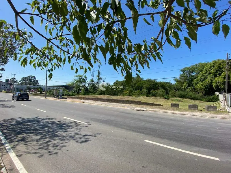 Terreno à venda no Patronato: 