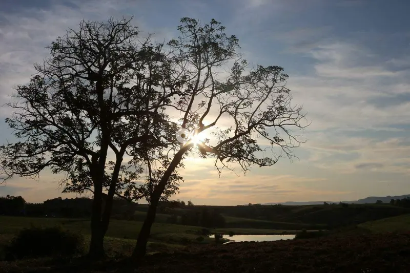 Área Rural à venda no Interior: 