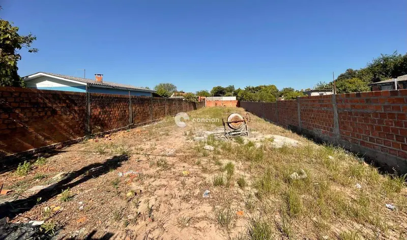 Terreno à venda no Tancredo Neves: 