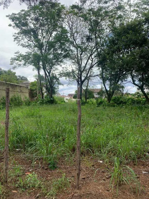 Terreno à venda no Camobi: 