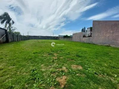 Terreno Comercial à venda no Noal: 