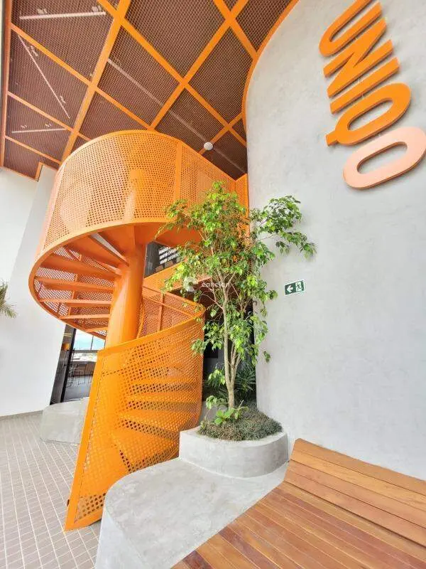 Apartamento para aluguel no Camobi: 