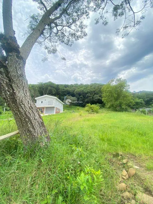 Terreno à venda no Cerrito: 