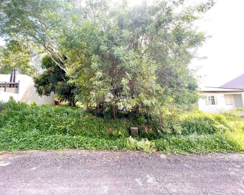 Terreno à venda no Dom Antônio Reis: 