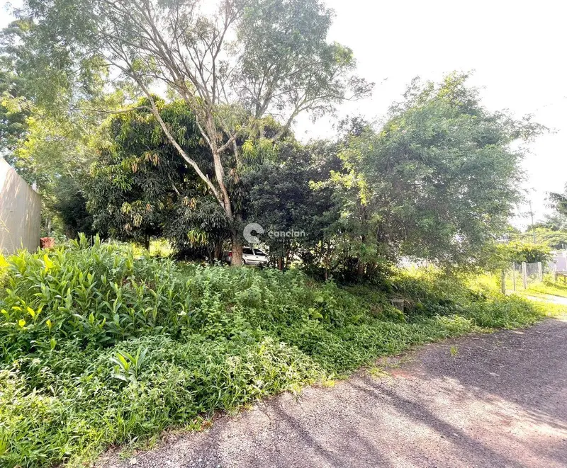 Terreno à venda no Dom Antônio Reis: 