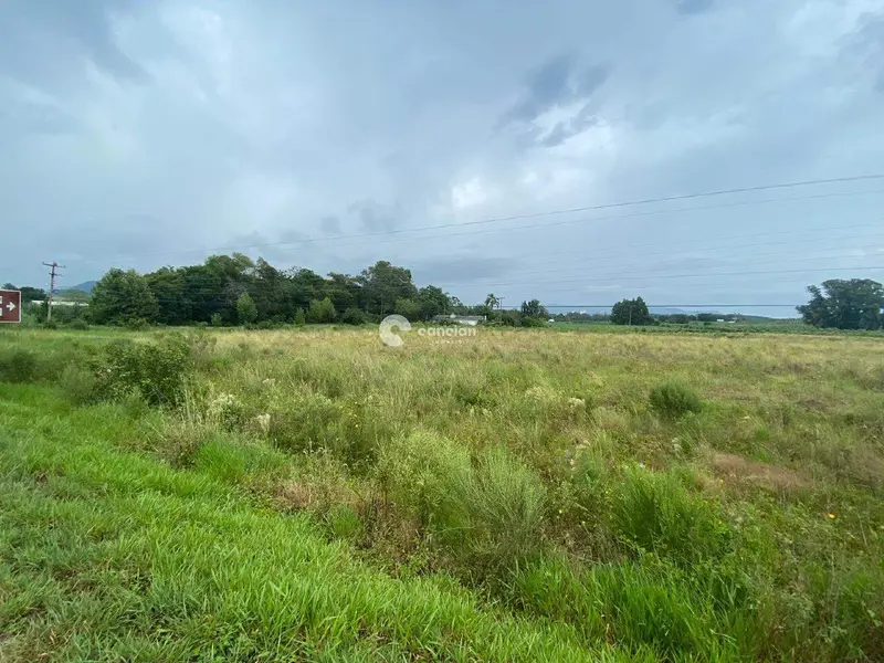 Área Rural à venda no Recanto Maestro: