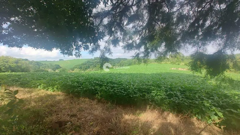 Área Rural à venda no Silveira Martins: 