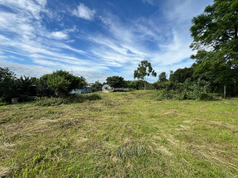 Terreno Comercial à venda no São José: 