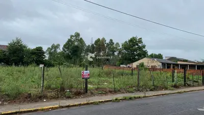 Terreno à venda no Lorenzi: 