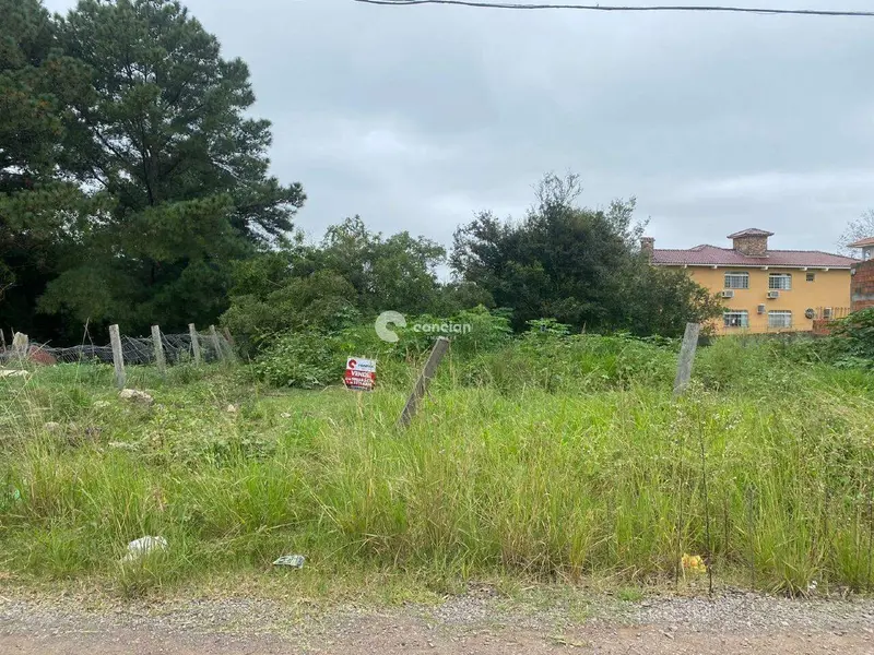 Terreno à venda no São José: 