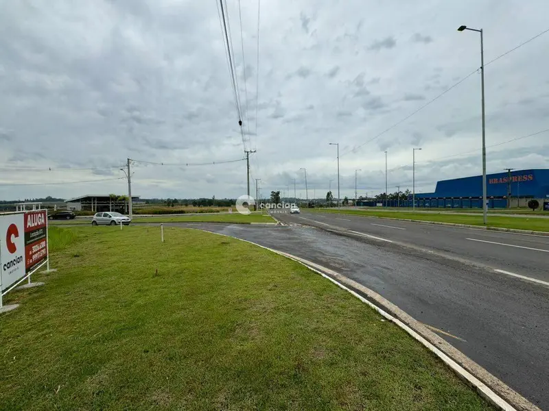 Terreno Comercial para aluguel no Tomazetti: