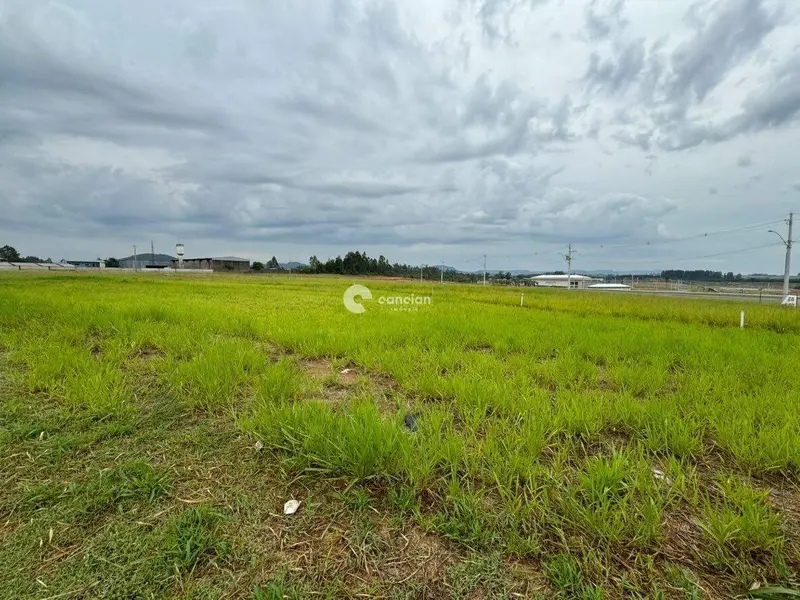 Terreno Comercial para aluguel no Tomazetti: