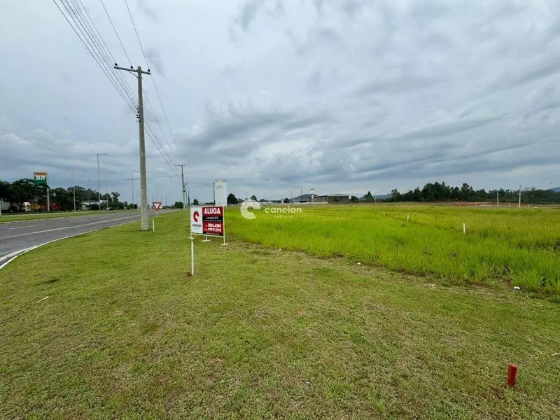 Terreno Comercial para aluguel no Tomazetti: