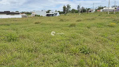 Terreno à venda no Pinheiro Machado: 