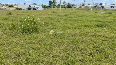 Terreno à venda no Pinheiro Machado: 