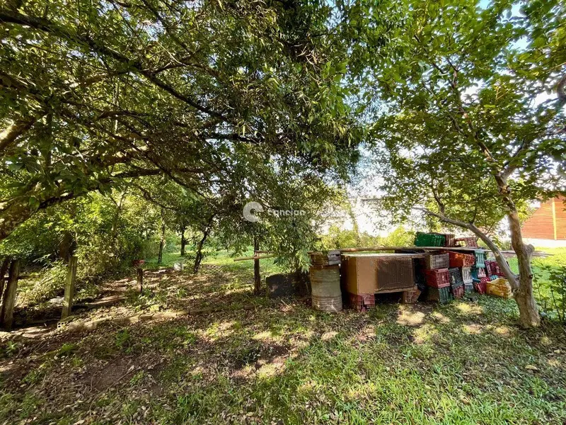 Casa à venda no Camobi: 